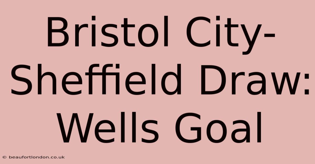 Bristol City-Sheffield Draw: Wells Goal