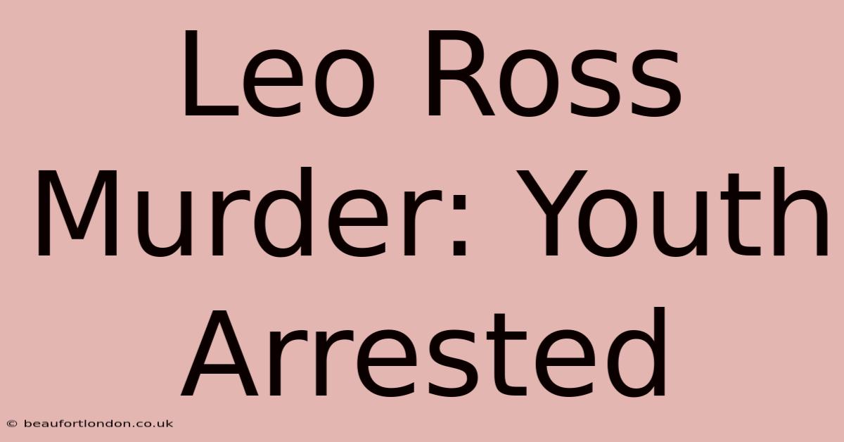 Leo Ross Murder: Youth Arrested