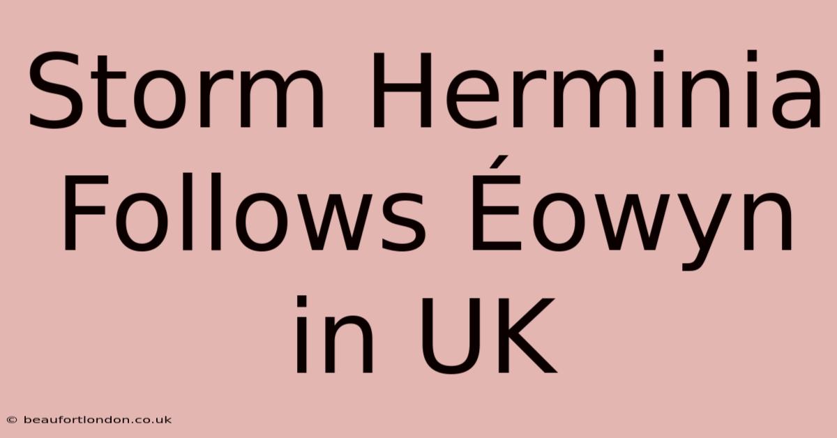 Storm Herminia Follows Éowyn In UK