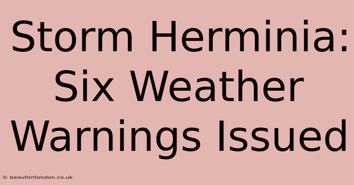 Storm Herminia: Six Weather Warnings Issued