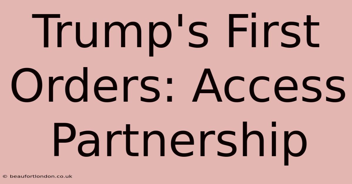 Trump's First Orders: Access Partnership